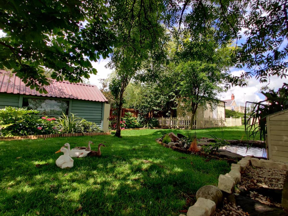 דירות סוואנסי The Duck House מראה חיצוני תמונה